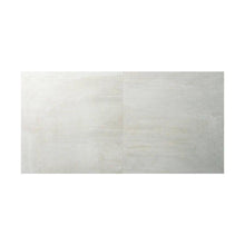 Load image into Gallery viewer, Fahrenheit AP183R11X860 350f Frost Porcelain Tile 600 x 600 x 8 mm, in Slate R11 (Price in PCS)