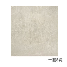 Load image into Gallery viewer, Fusion Vy6t35141 / Fvy6t35141 (048) Vision Wall / Floor Tiles 31 X 61 cm [一套8件]

