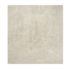 Load image into Gallery viewer, Fusion Vy6t35141 / Fvy6t35141 (048) Vision Wall / Floor Tiles 31 X 61 cm [一套8件]
