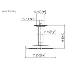 Load image into Gallery viewer, 28669970-46&nbsp;  Rain shower with ceiling fixing 220 mm in -46 Brushed Champagne
