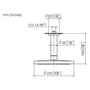 28669970-46&nbsp;  Rain shower with ceiling fixing 220 mm in -46 Brushed Champagne