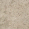 EVG6 Ever - Grau (Color Shade: H48/7) Size : 600 X 600 mm Surface : Matt & Rectified