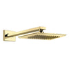 Eleganza 46148.080 Wall-Mounted Adjustable and Antilimestone Showerhead in Gold